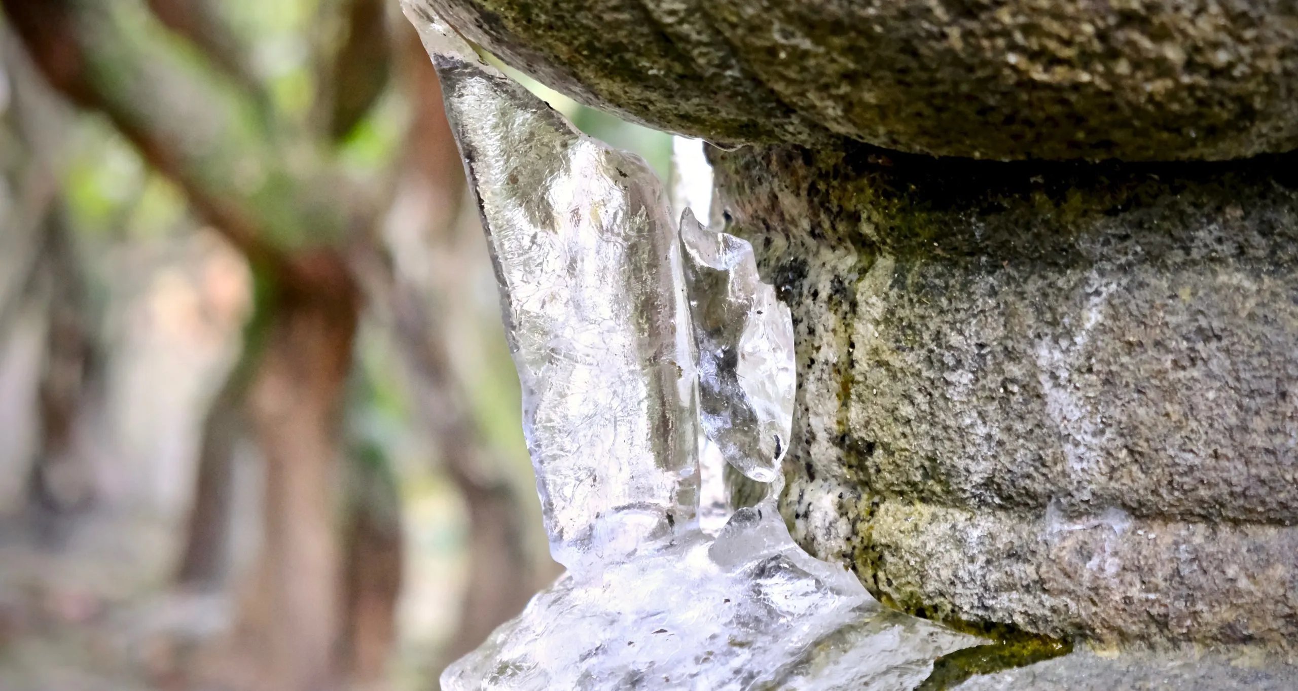 💧 오타야 냉천(오타야시미즈) 이미지 3